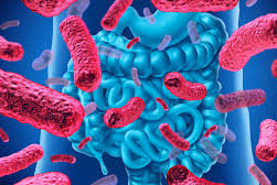 Microbiota intestinale